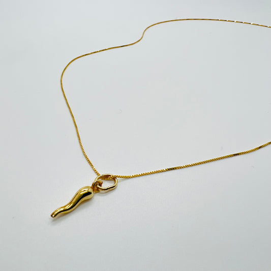 Collana argento Corno Classic